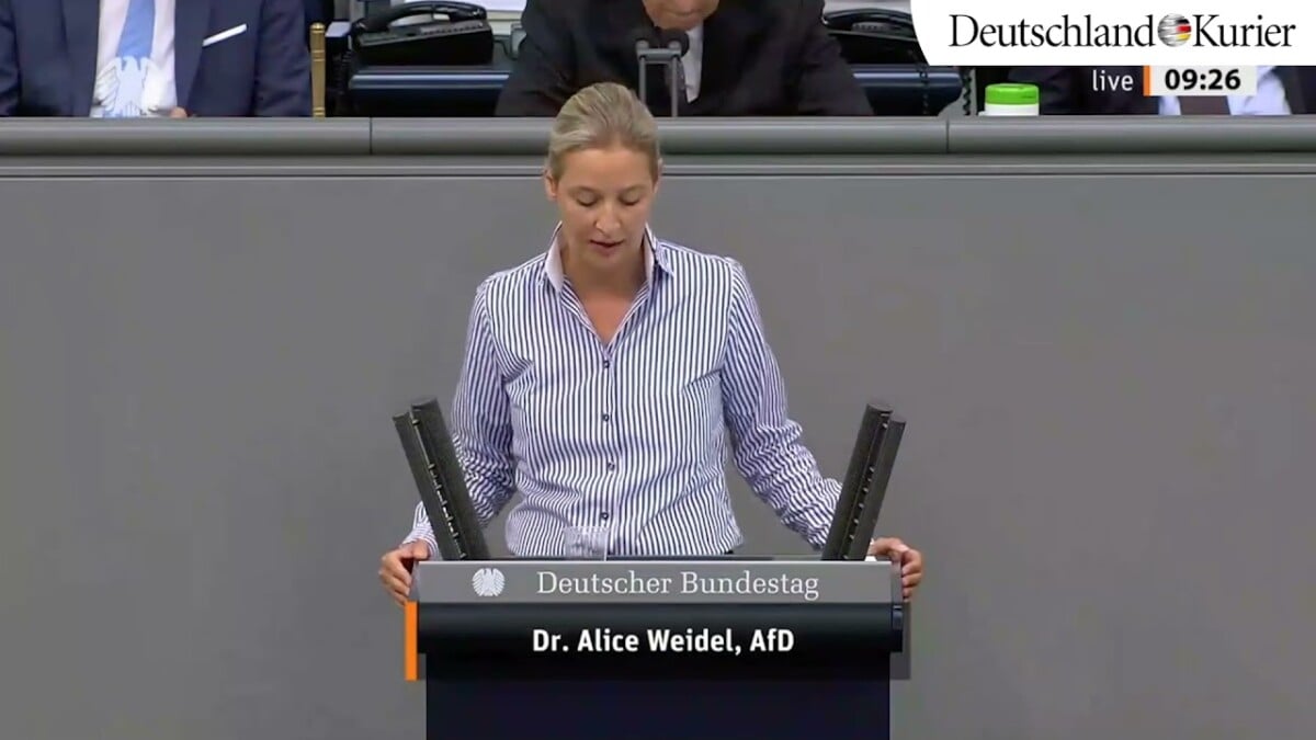 Alice Weidel rechnet im Bundestag mit Merkel ab!; Bild: Startbild Youtube