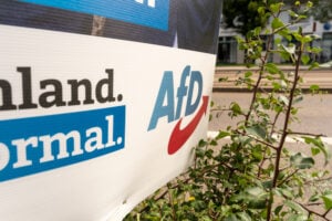 Junge Wähler wählen AfD (Bild: shutterstock.com/ Von Bihlmayer Fotografie)