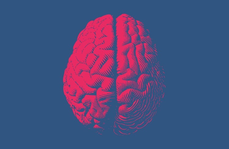 Brain (Bild: shutterstock.com/Von Jolygon)