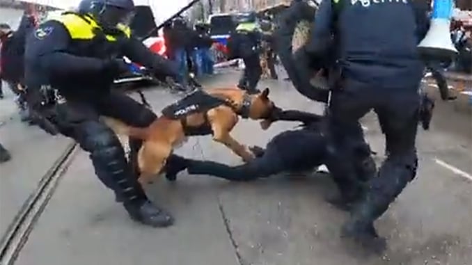 Amsterdam am 02. Januar 2022 - Polizei hetzt Hunde auf friedliche Demonstranten; Bild: Screenshot Twitter