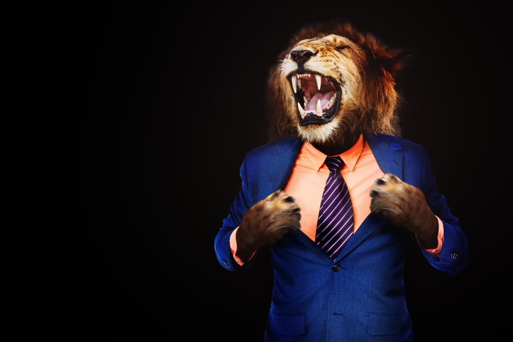 Лев бос. Лев босс. Lion in Suit. Lion Boss.